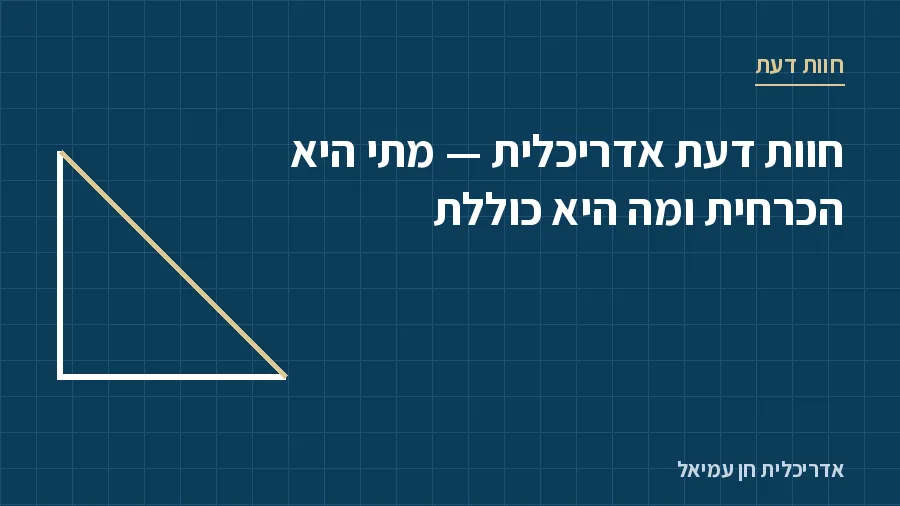 חוות דעת אדריכלית - מתי היא הכרחית ומה היא כוללת - חוות דעת, אדריכלית חן עמיאל